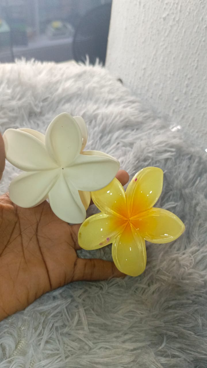SMALL CLAW CLIPS