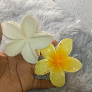 SMALL CLAW CLIPS